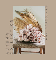 shop shells and coastal decor this autumn in warm colours